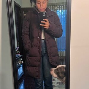 Uniqlo Dark Brown Puffer Coat Womens Size Medium